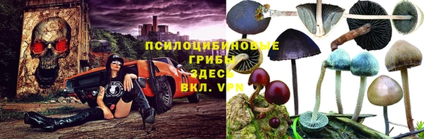прущий лед Козловка
