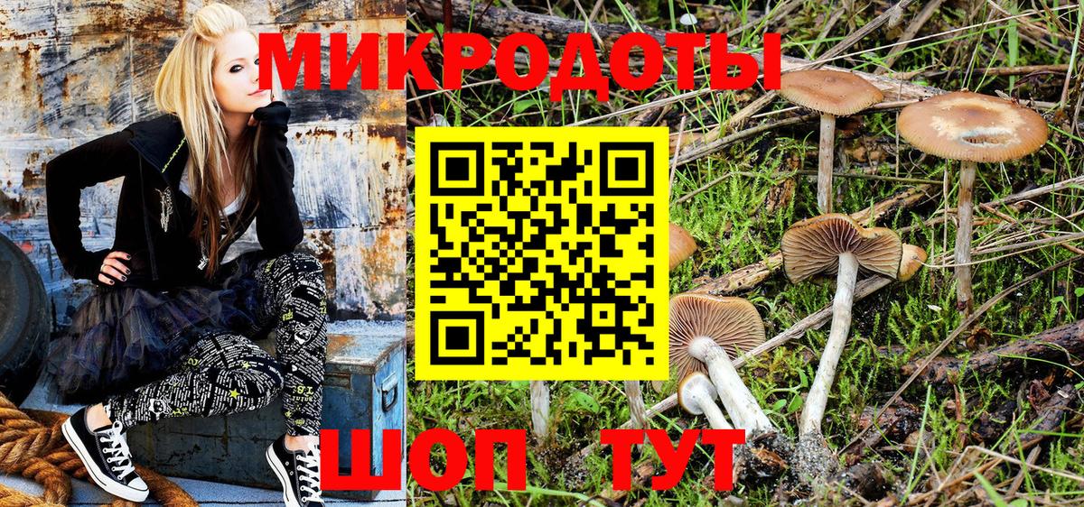 Псилоцибиновые грибы GOLDEN TEACHER Михайловка