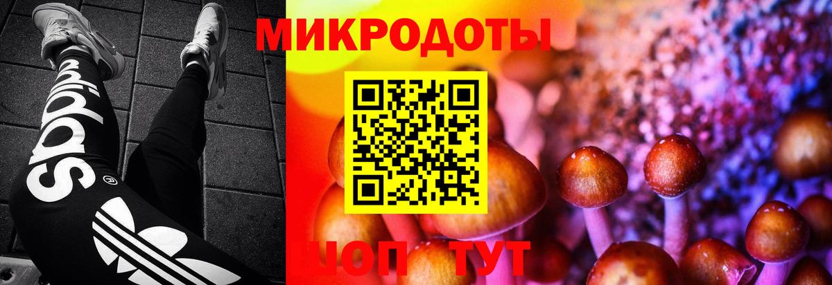 Псилоцибиновые грибы мухоморы  Вход с VPN  Михайловка 
